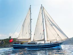 Gulet in Marmaris / Netsel Marmaris Marina thumbnail 5