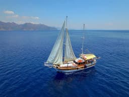 Gulet in Marmaris / Netsel Marmaris Marina thumbnail 19