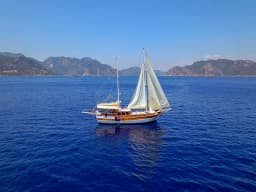 Gulet in Marmaris / Netsel Marmaris Marina thumbnail 26