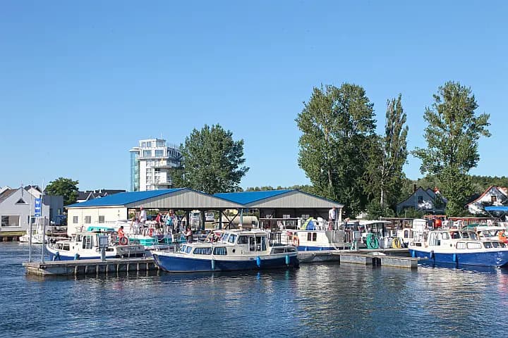 Tjonger in Malchin - Photo 5