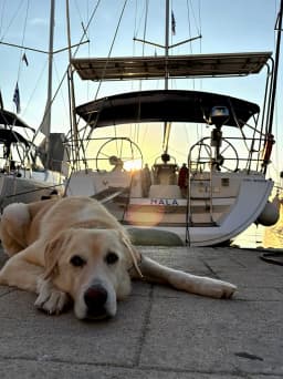 Sun Odyssey 45 in Preveza Main Port thumbnail 6