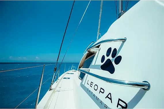 Leopard 48 in Zanzibar / Azam Marina - image 1