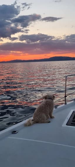 Oceanis 51.1 in Skopelos / Port of Skopelos thumbnail 5
