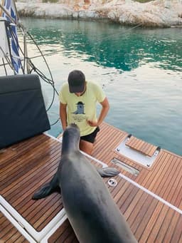 Sun Odyssey 440 in Volos / Port of Volos thumbnail 16