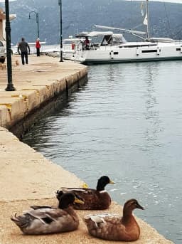 Sun Odyssey 440 in Volos / Port of Volos thumbnail 20