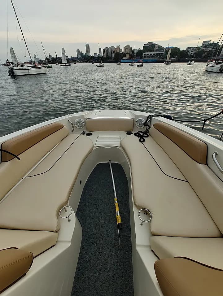 Sea Ray SDX 290 in Mumbai Harbour - Photo 5