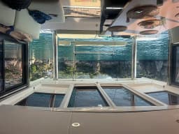 Bali 4.8 in Sicily / Palermo / Marina Villa Igiea thumbnail 3