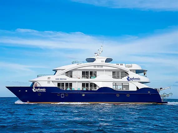 Power Catamaran in Baltra - image 1