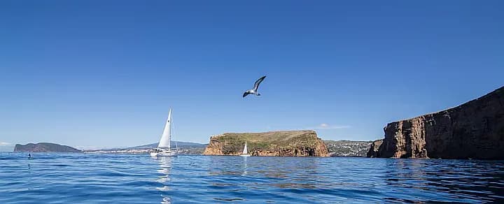 Bavaria Cruiser 37 in Terceira / Angra do Heroismo / Marina d'Angra - Photo 4