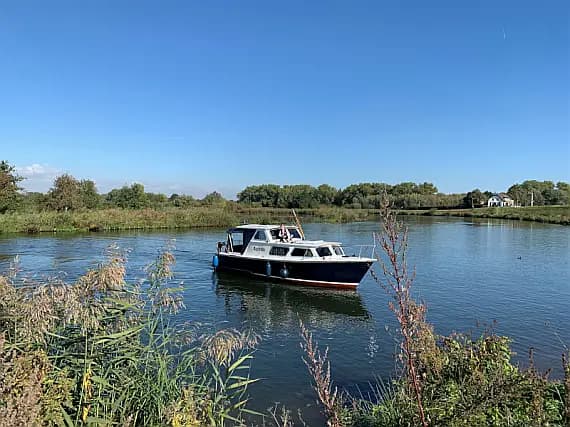 Pedro 800 in Heukelum / De Koornwaard - Photo 2