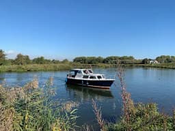 Pedro 800 in Heukelum / De Koornwaard thumbnail 2
