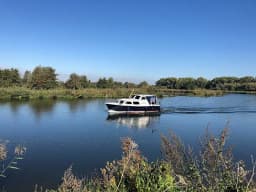 Pedro 800 in Heukelum / De Koornwaard thumbnail 9