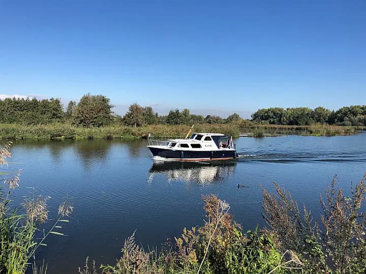 Pedro 800 in Heukelum / De Koornwaard - image 1