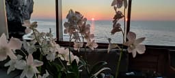 Motoryacht in Phuket / Yacht Haven Marina thumbnail 31