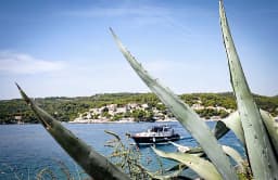 Leut in Split / Marina Zenta thumbnail 15