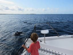 Leopard 48 in Zanzibar / Azam Marina thumbnail 21