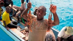 Leopard 48 in Zanzibar / Azam Marina thumbnail 23