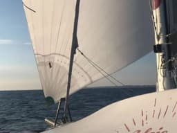 TS 42 in Plèneuf-Val-Andrè / Port Dahouët thumbnail 13