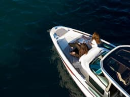 Saxdor 270 GTO in Lavrion Marina thumbnail 8