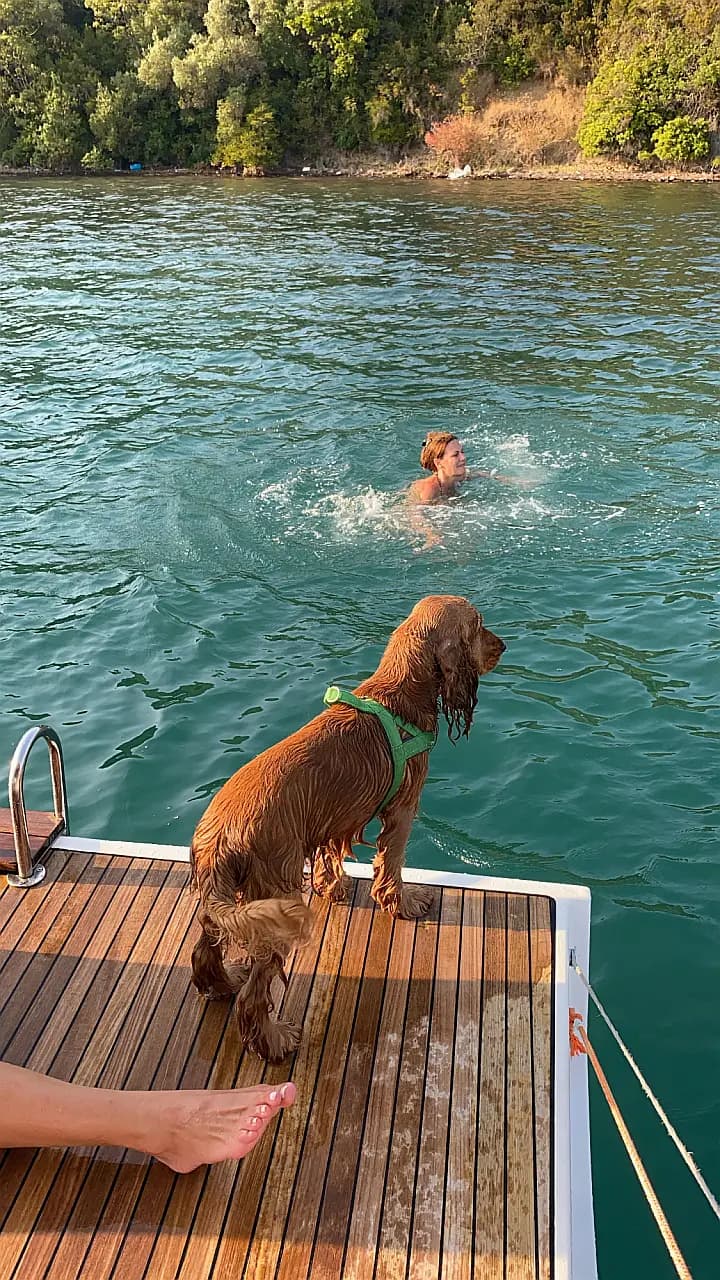 Bavaria Cruiser 46 in Kotor - Photo 5