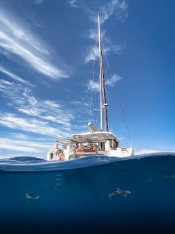 Excess 11 in Papeete, Tahiti / Papeete thumbnail 12
