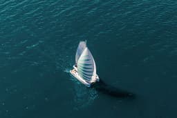 Lagoon 43 in Athens / Alimos Marina thumbnail 2