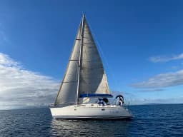 Sun Odyssey 42.2 in Punta Ala thumbnail 6