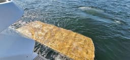 Azimut Atlantis 45 in Podstrana / Marina Lav thumbnail 21