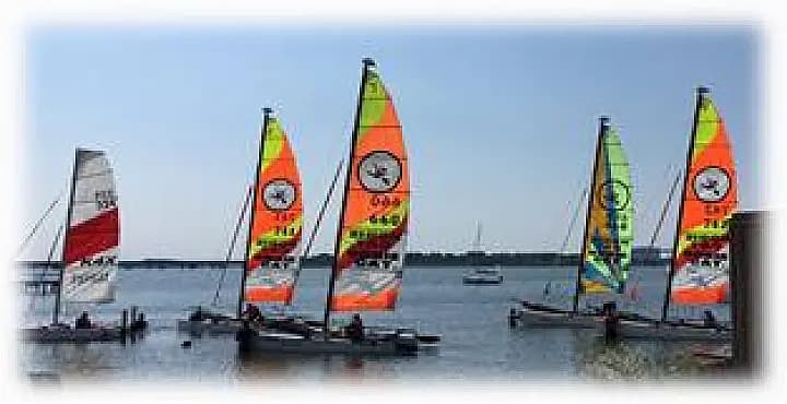 Hanse 315 in Altefähr Harbor - Photo 5