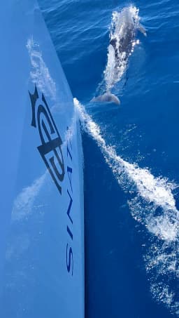 Sunreef 60 in Rogoznica / Marina Frapa thumbnail 24