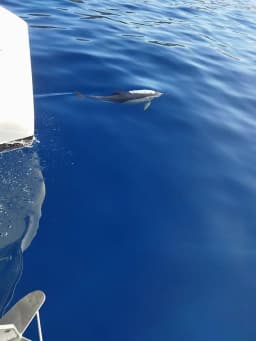 Lagoon 46 in Athens / Alimos Marina thumbnail 6