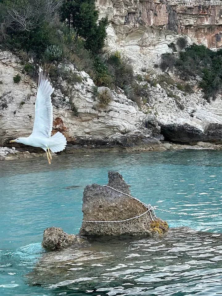Bali 4.4 in Lefkada / D-Marin Marina Lefkas - Photo 5